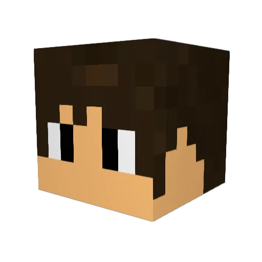 VinyFlash Minecraft avatar head, 3D render