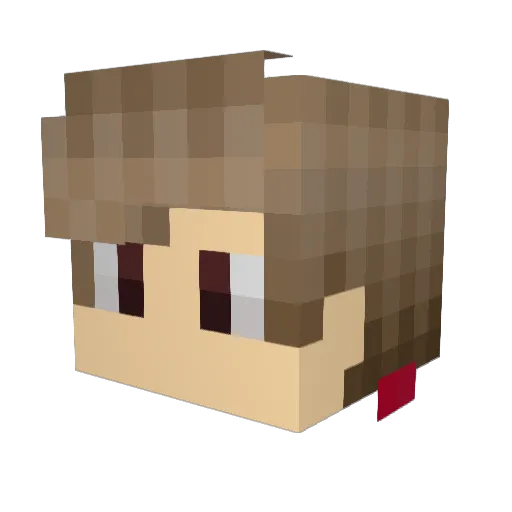 Vinysec Minecraft avatar head, 3D render