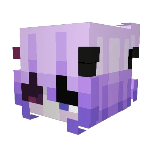 VioIet4 Minecraft avatar head, 3D render