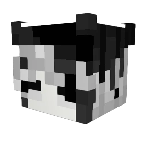 Violatte1234 Minecraft avatar head, 3D render