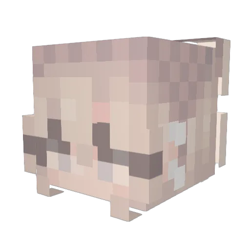 Violet170 Minecraft avatar head, 3D render
