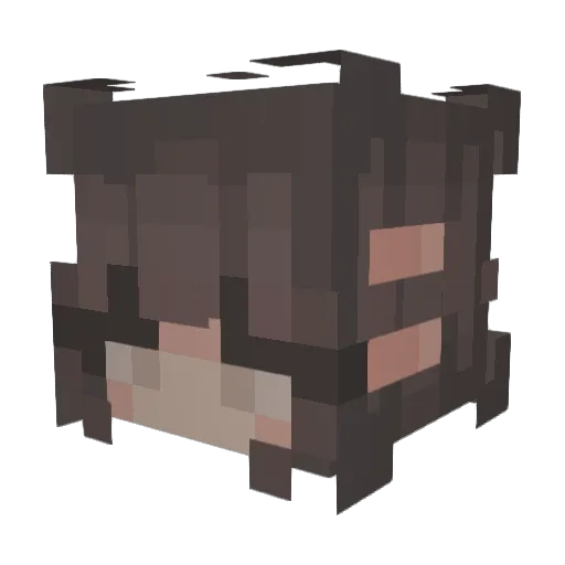 Violet678 Minecraft avatar head, 3D render