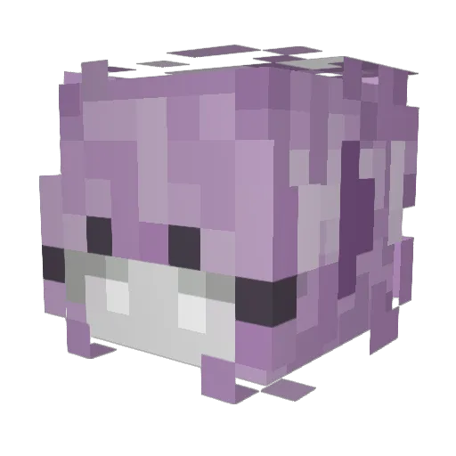 VioletBerry13 Minecraft avatar head, 3D render