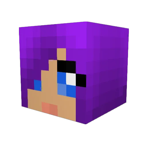 VioletNarwhal Minecraft avatar head, 3D render