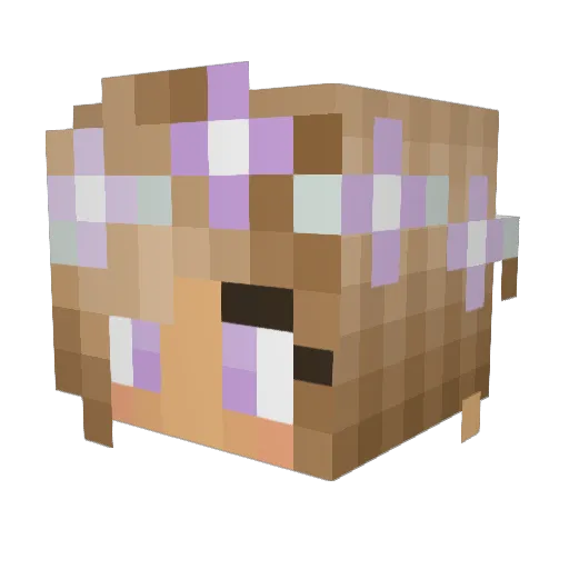 VioletOrKid Minecraft avatar head, 3D render