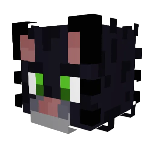 VioletRose606 Minecraft avatar head, 3D render