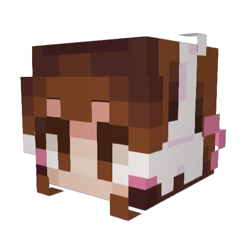 VioletSkttle Minecraft avatar head, 3D render