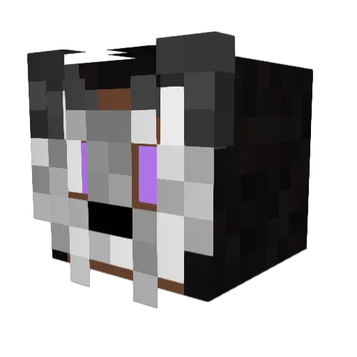 VioletV01D Minecraft avatar head, 3D render