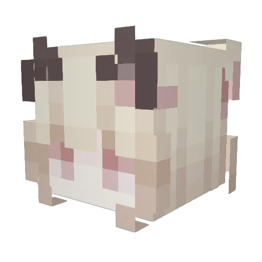 VioletWood Minecraft avatar head, 3D render