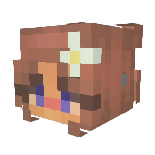 Violet_StarFairy Minecraft avatar head, 3D render