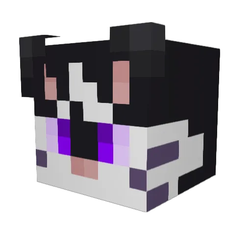 VioletshineSkC Minecraft avatar head, 3D render