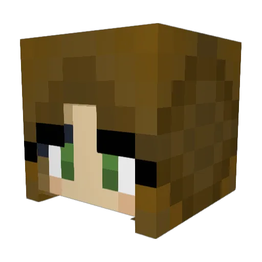 Violett_Star Minecraft avatar head, 3D render