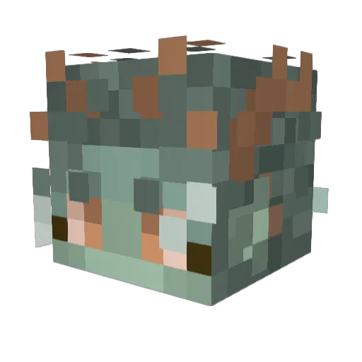 ViolinDragon_ Minecraft avatar head, 3D render