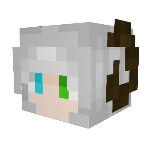 ViolinGod Minecraft avatar head, 3D render