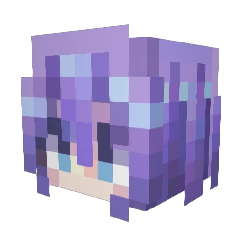 Viomeat Minecraft avatar head, 3D render