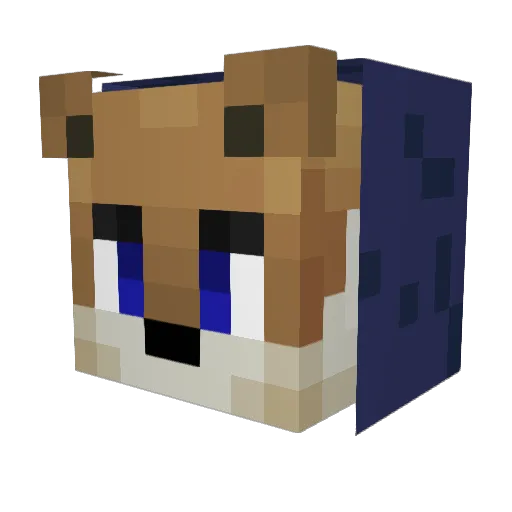Viosz Minecraft avatar head, 3D render