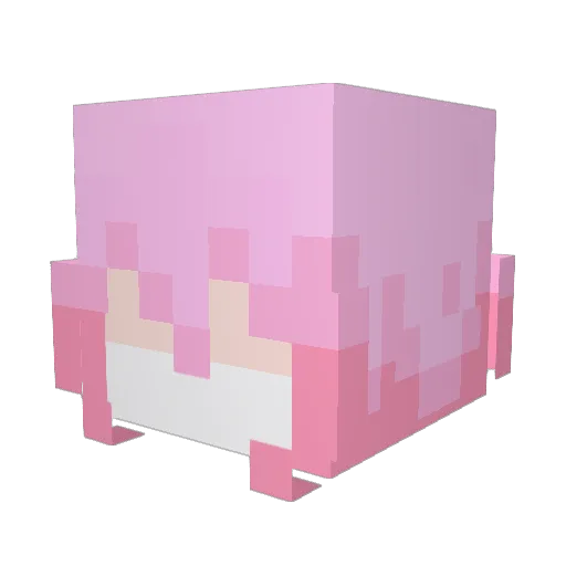 Viown Minecraft avatar head, 3D render