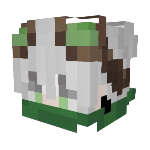 Viper0284 Minecraft avatar head, 3D render