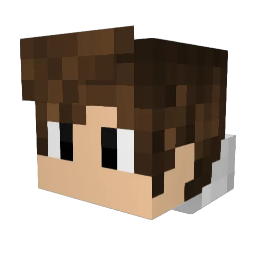 Viper511 Minecraft avatar head, 3D render
