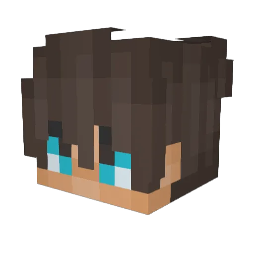 Viper_12 Minecraft avatar head, 3D render