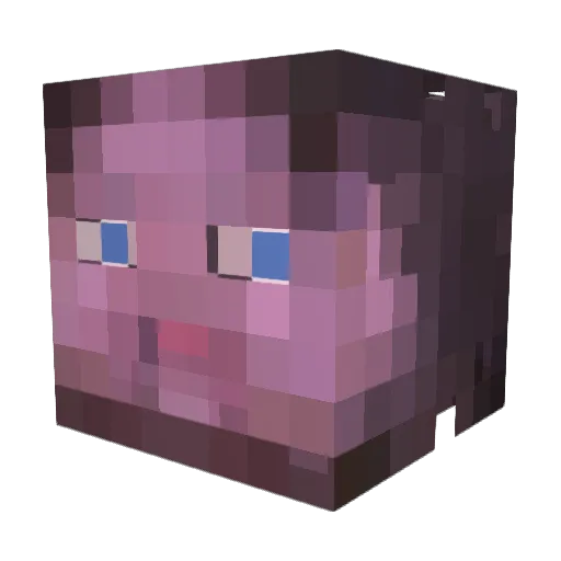 Viper_47 Minecraft avatar head, 3D render