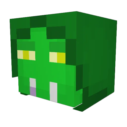 Vipere2506 Minecraft avatar head, 3D render