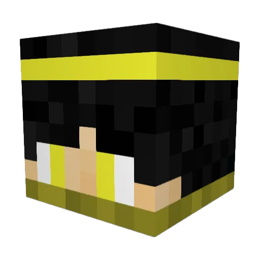 VipexOn_ Minecraft avatar head, 3D render