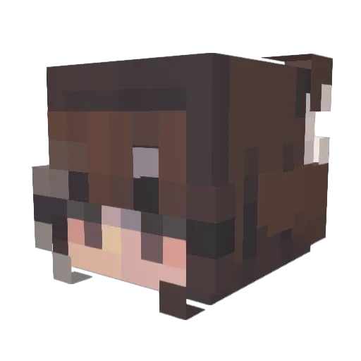 Vipi000 Minecraft avatar head, 3D render