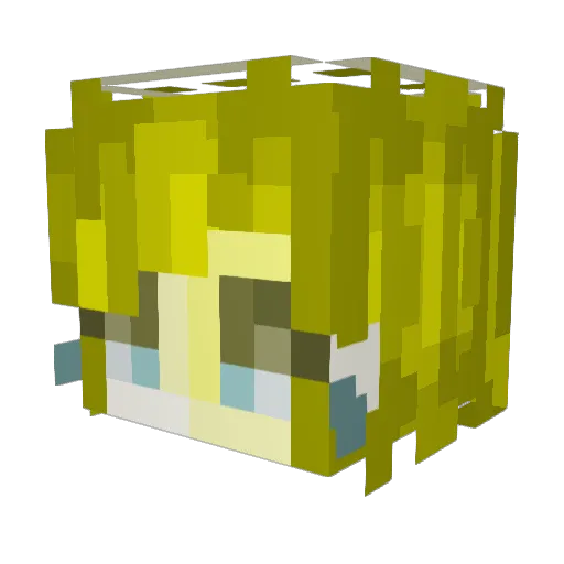 Viqtorr1997 Minecraft avatar head, 3D render