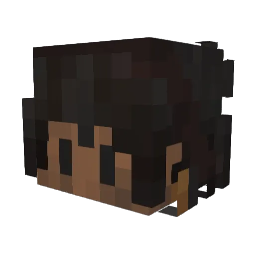 Virasin20 Minecraft avatar head, 3D render