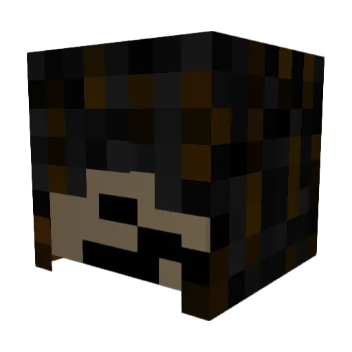 VireDaWolf_TK Minecraft avatar head, 3D render