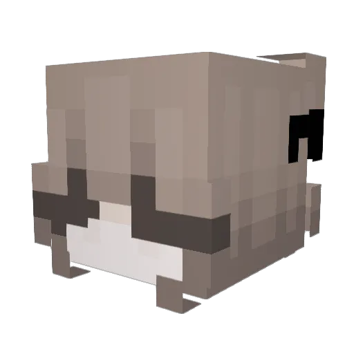 Virelya Minecraft avatar head, 3D render