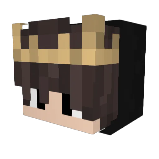 VirgiFi Minecraft avatar head, 3D render