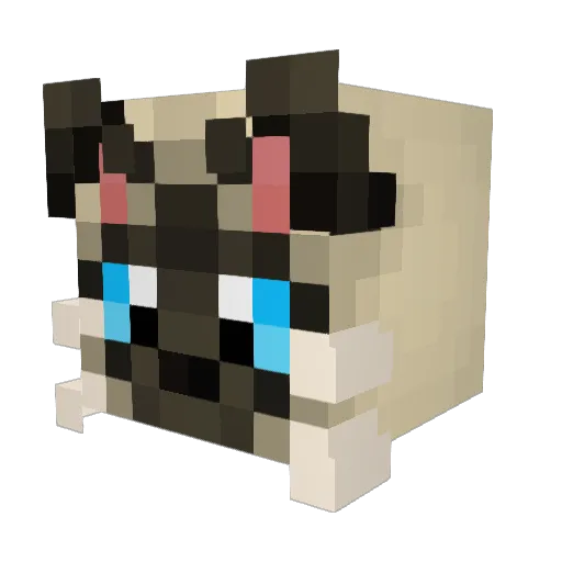 Virgulee Minecraft avatar head, 3D render