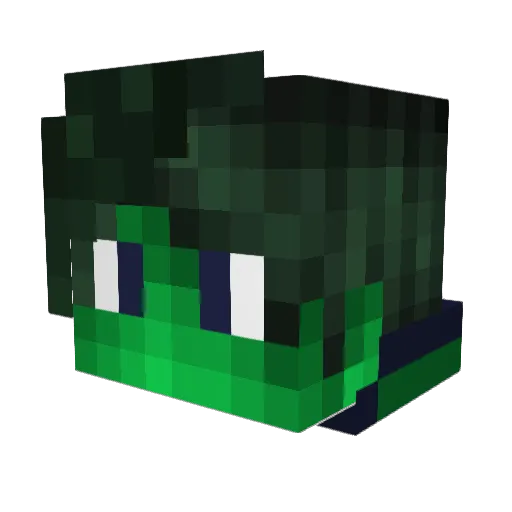 Virjagoo Minecraft avatar head, 3D render