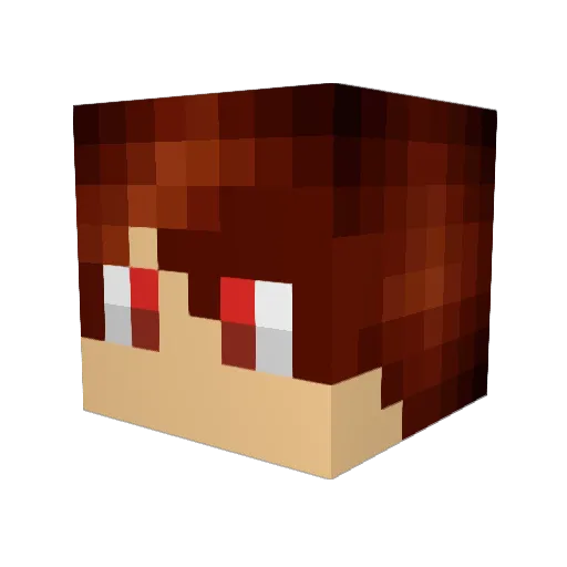 Virre031 Minecraft avatar head, 3D render