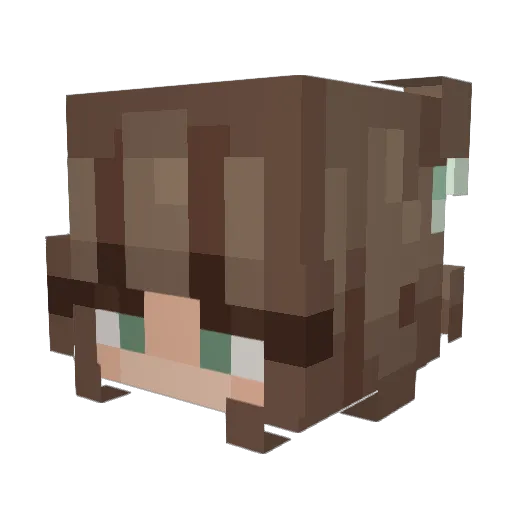 VirtualFishTank Minecraft avatar head, 3D render