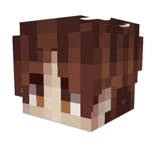 VirtusVitae Minecraft avatar head, 3D render