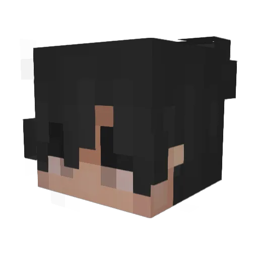 Virtusuman Minecraft avatar head, 3D render