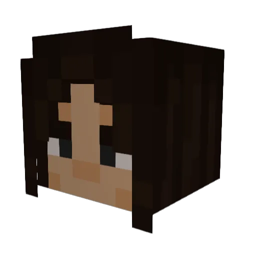 VirusByte Minecraft avatar head, 3D render