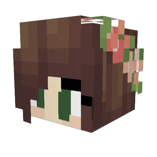 Viruvani Minecraft avatar head, 3D render