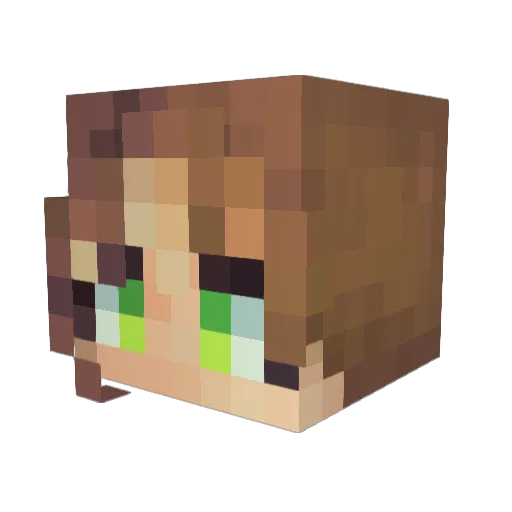 Visarii Minecraft avatar head, 3D render
