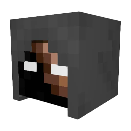 ViseLesTetes Minecraft avatar head, 3D render