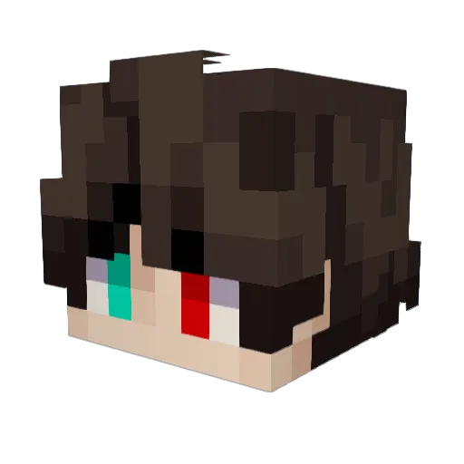 Visedbubble9320 Minecraft avatar head, 3D render
