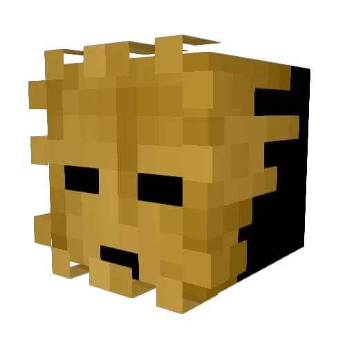 Vishnevets Minecraft avatar head, 3D render