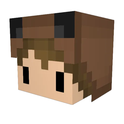 VishyIsFishy Minecraft avatar head, 3D render