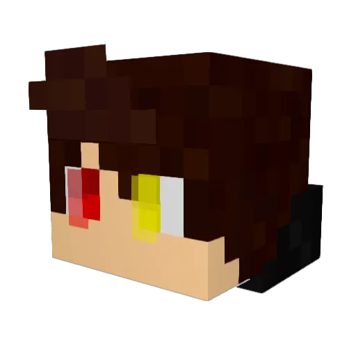 VisiblePanda679 Minecraft avatar head, 3D render