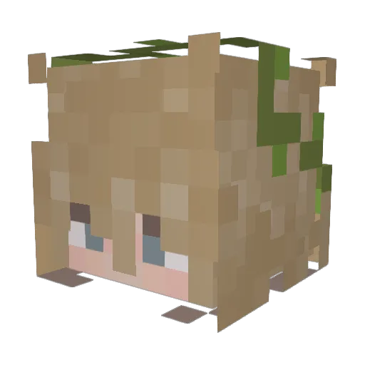 VisibleStripes Minecraft avatar head, 3D render