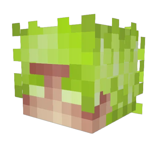 Visiblee_ Minecraft avatar head, 3D render