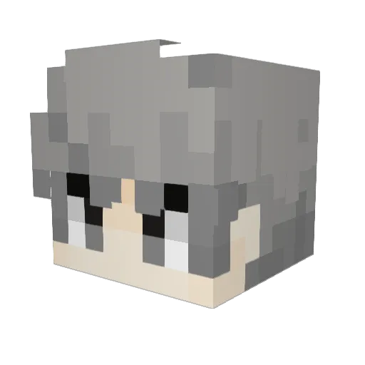Visii_ Minecraft avatar head, 3D render
